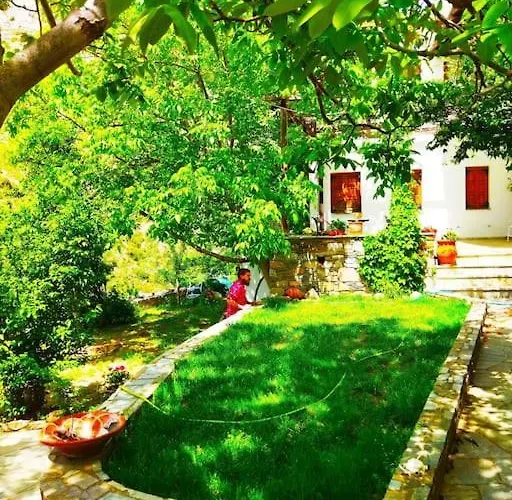 Archontiko Elena Волос