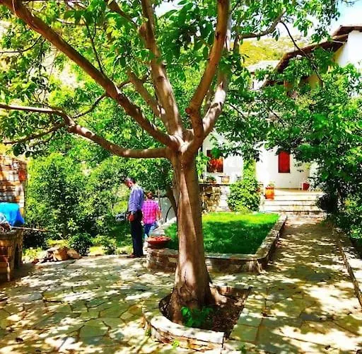 Archontiko Elena Волос