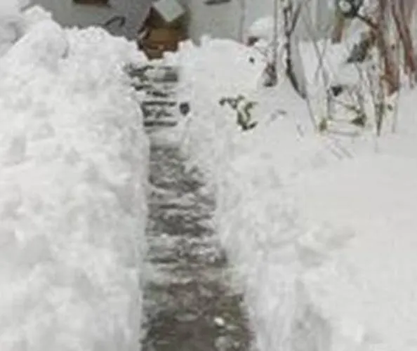 Archontiko Elena * Волос